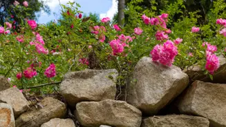 Roseiral Monserrate Credits PSML WP 14 11 (1) (1)