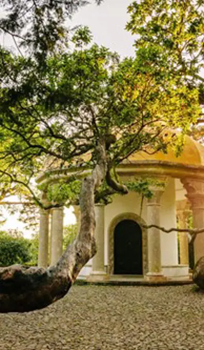 Parques De Sintra Parque E Palacio Da Pena Templo Colunas