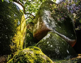 Parques De Sintra Chalet E Jardim Da Condessa Dedla Pedras Chalet