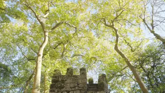 Parques De Sintra Castelo Dos Mouros Tumulo