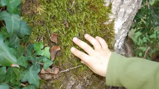 SENTIR NATUREZA 13 Susana Morais (1) (1)
