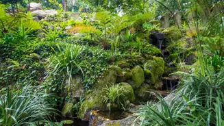Parques De Sintra Vila Sassetti Jardim Vila Sassetti
