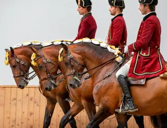 Escola Portuguesa De Arte Equestre Pas De Trois Picadeiro Henrique Calado Belem