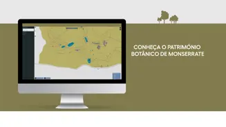 Treefinder Site1