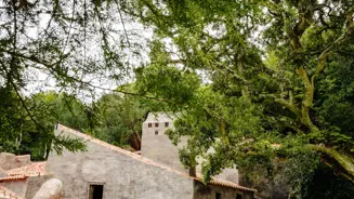 Parques De Sintra Convento Dos Capuchos Claustro
