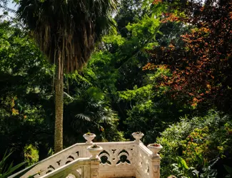 Parques De Sintra Parque E Palacio De Monserrate Caminho Perfumado