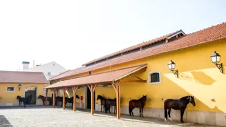 Lui╠Üs Duarte Pateo Da Nora (4)